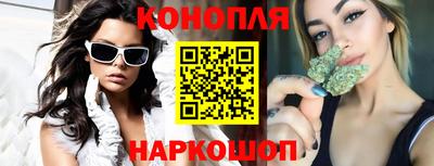 a pvp Дмитров