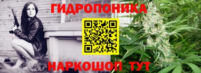 хмурый Долгопрудный