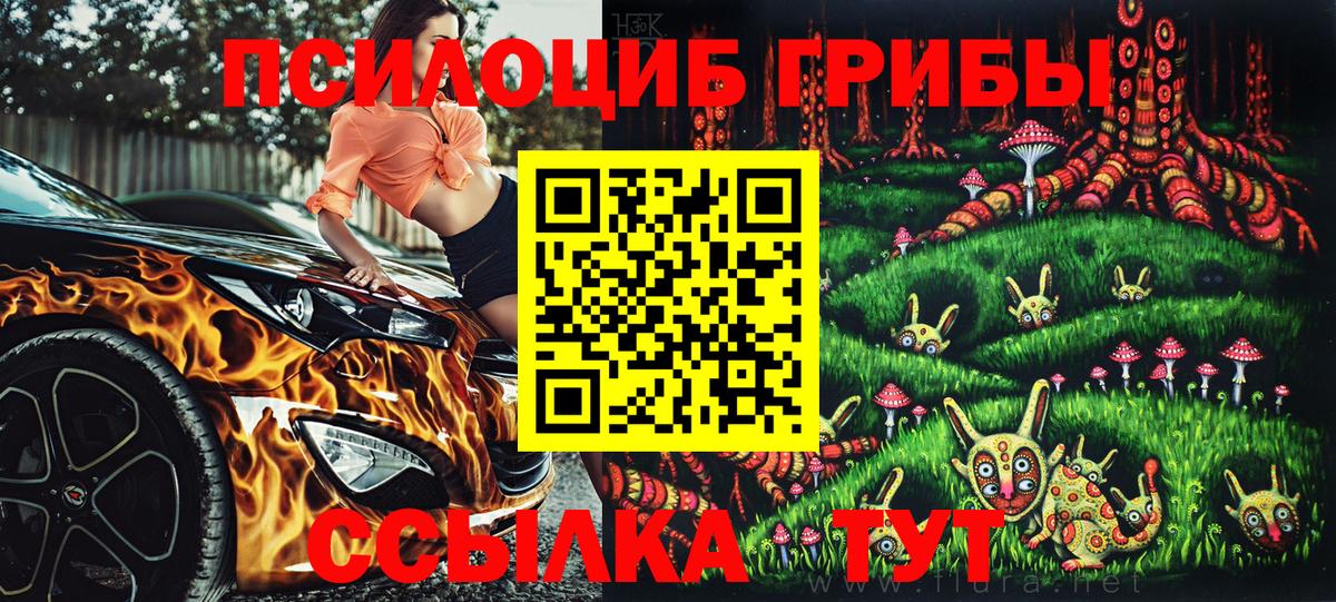 Псилоцибиновые грибы мицелий  Вход с VPN  Борзя 